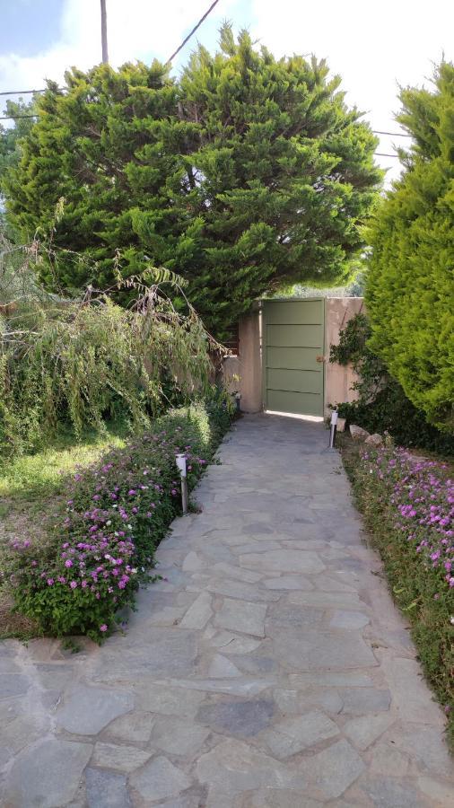 Villa Katerina Ialysós Eksteriør bilde